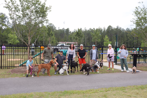Dog Park at Grand Park photo 2